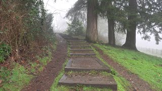 Walking at Wapato Park in the fog 4K24 [upl. by Sagerman]