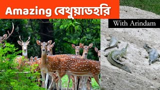 Bethuadahari Wildlife Sanctuary বেথুয়াডহরি অভয়ারণ্য । arindampalvlogs arindamvlog viral top [upl. by Guilbert]