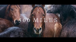 500 Miles  The Story of Ranchers and Horses 2017 [upl. by Dulcy406]