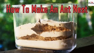 How To Make An Ant FarmNestFormicarium [upl. by Notsuoh848]