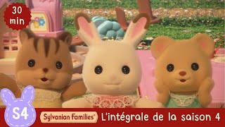 Dessins animés  Lintégrale de la saison 4  Sylvanian Families en Français [upl. by Irianat]