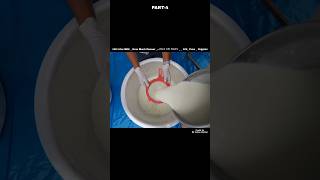 100 Liter Milk  How Much Paneer कितना पनीर निकलेगा   100 Pure  Organic shorts [upl. by Valdas]