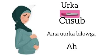 calamadaha uurka cusub Ama bilowga ah [upl. by Giuditta104]