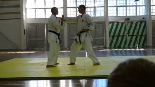 2013 QLD Camp  Niseishi Bunkai with Counters [upl. by Adrianne914]