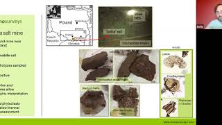 Gil Machado PhD on Salt Biostratigraphy [upl. by Nnoryt]