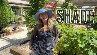 Fionualas Favorite Shade Plants Shade Options for Foundation Understory amp Groundcover Plants [upl. by Finbar801]