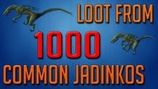 Runescape 3 Loot From 1000 Common Jadinkos [upl. by Bren571]