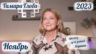 Тамара Глоба – астропрогноз на Ноябрь 2023 для знаков Зодиака [upl. by Atteynod]