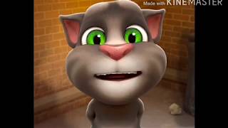 Cat comedy video amp Billi ki Comedy Cat comedy talking tom hindi video  Make joke [upl. by Notse]