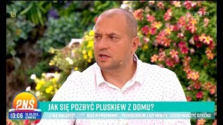 Podejrzana wysypka to ugryzienia pluskiew Eryk Połeć z pryskaniepl w Pytanie na Śniadanie PNŚ TVP [upl. by Ronnoc733]