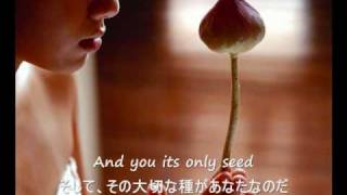 The Rose  Bette Midler 歌詞字幕）English amp Japanese Lyrics [upl. by Bower]