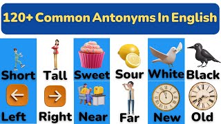 Most common Antonyms in English Opposite Words in English oppositewords [upl. by Bolt209]