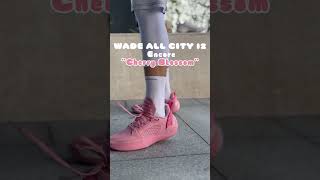 LiNing way of wade 10 ‘cherry blossom’ ASMR sneakers shoes shoes basketball [upl. by Atnauqal883]