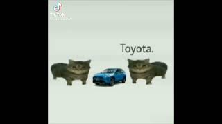 Toyota [upl. by Adest]