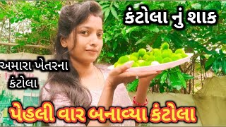 આજે બનાવ્યું પહેલી વાર કંટોલા નું શાક  kantola nu Shak  Krisu Vasava vlog [upl. by Ytsim]