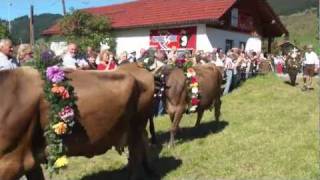 Viehscheid Tannheim Tirol 2011 [upl. by Yromem]