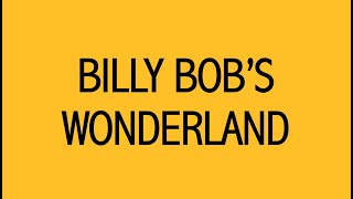 Billy Bobs Wonderland A Retrospective [upl. by Jovi]