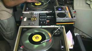 Truth And Rights Riddim 2005  Selecta Douroots [upl. by Jarlathus]