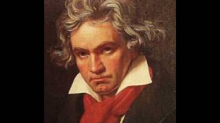 Beethoven String Quartet in Bflat major Op 130  5 Cavatina [upl. by Edgardo790]