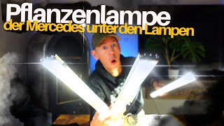 Die perfekte Pflanzenlampe für deine Zimmerpflanzen  LED SANlight Flex 2 [upl. by Russian862]