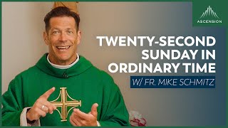 Twentysecond Sunday in Ordinary Time  Mass with Fr Mike Schmitz [upl. by Ellednek50]