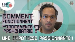 Comment fonctionnent les traitements en psychiatrie  Une hypothèse passionnante [upl. by Klemm]