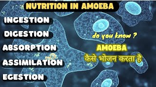 NUTRITION IN AMOEBA  LIFE PROCESSES [upl. by Westleigh]