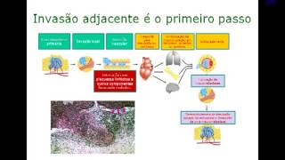 aula drheitor mpg10  Invasão e angiogenese tumoral  senescência das células [upl. by Rehptosirhc10]