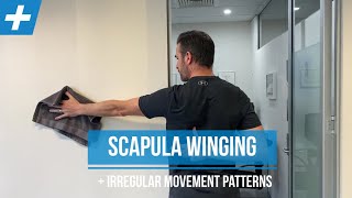 Exercises for Scapula Winging and Irregular Shoulder Movement  Pt 1  Tim Keeley  Physio REHAB [upl. by Sefton]