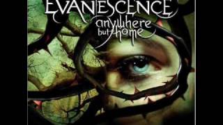 Evanescence  My Immortal Live [upl. by Anahcra]