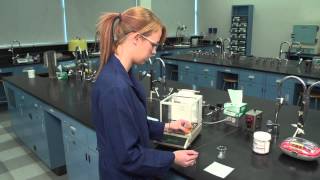 Weighing Using An Analytical Balance [upl. by Kristopher53]