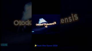 Otodus Megalodon vs Otodus Chubutensis sharkshortsvideobattleyoutube [upl. by Maggi646]