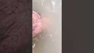 skin cleaning fishes Culion Island deep in the Jungle viralvideo philippines lifestyle travel [upl. by Aihsenyt]