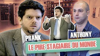 Le pire stagiaire Orange  Anthony [upl. by Monk119]