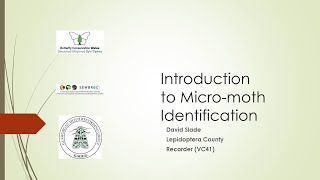 SEWBReC Online Course Introduction to Micro Moths [upl. by Amabil]