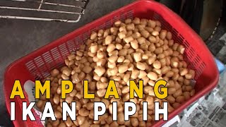 Kerupuk amplang yang terbuat dari ikan pipih  SISI LAIN [upl. by Cnut]