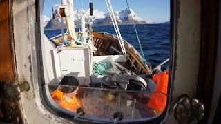 Breisund  Auf Dorschfang vor den Lofoten [upl. by Nickolaus]