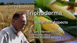 Dr Gary Harman Beneficial Aspects of Trichoderma [upl. by Droflim996]