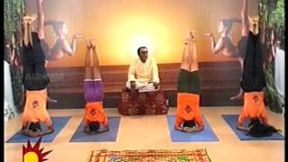 Dr Asana Andiappans Kalaignar TV Yoga Program 04 05 2012 Sirsasana [upl. by Cook]