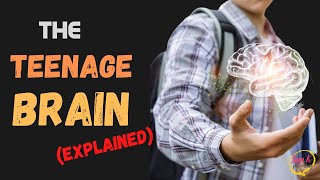 How does the Teenage Brain work ⚙️ Brain development in Adolescence a video by SamK Parenting [upl. by Ahsemit]