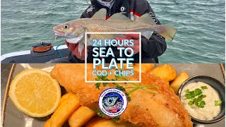 Catch And Cook COD  CHIPS 24hrs from sea to plate [upl. by Laban673]