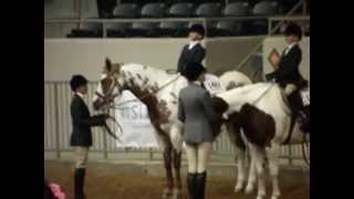 2013 Pinto World Show Nicole World Champion WT leadline Equitation [upl. by Gardal]