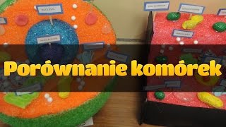 Cytologia Porównanie komórki zwierzęcej i roślinnej [upl. by Ggerg]