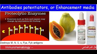 Lecture 115 Antibodies potentiators or Enhancement media [upl. by Anaiek623]