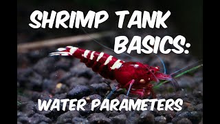 Shrimp Tank Basics Water Parameters [upl. by Delaney]