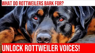 Decoding Your Rottweilers Vocalizations  A Guide for Pet Owners [upl. by Hannahoj]