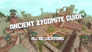 ANCIENT ZYGOMITES GUIDE ALL 60 LOCATIONS  ROUTE  LAND OUT OF TIME RS3 [upl. by Neerroc140]