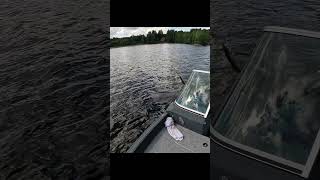 знаменитый мост в финляндии fishing рыбалка vobler pike pikefishing [upl. by Hilarius357]