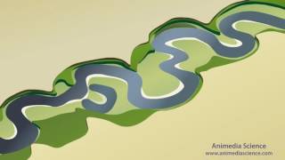 Stream Meanders and Floodplain Formation [upl. by Leahkim]