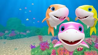 Baby shark doo doo doo doo rhymes l baby shark doo doo l nursery rhymes l baby shark doo doo kifs [upl. by Aihsela]